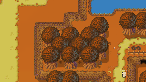 A dense forest on the island